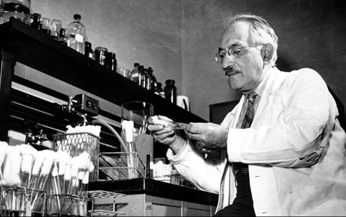 Zelman Waxman: A native of Ukraine who discovered streptomycin and became a Nobel Prize winner